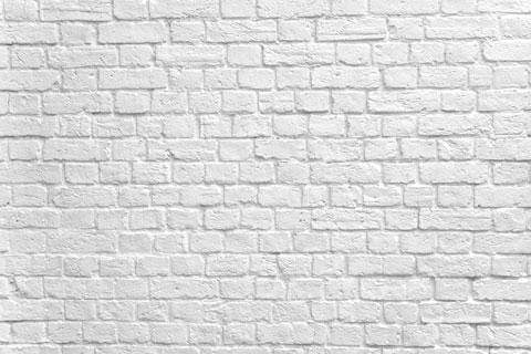 Kate Mur de briques Blanc Photographie Graduation Toile de fond - Kate Backdrop FR