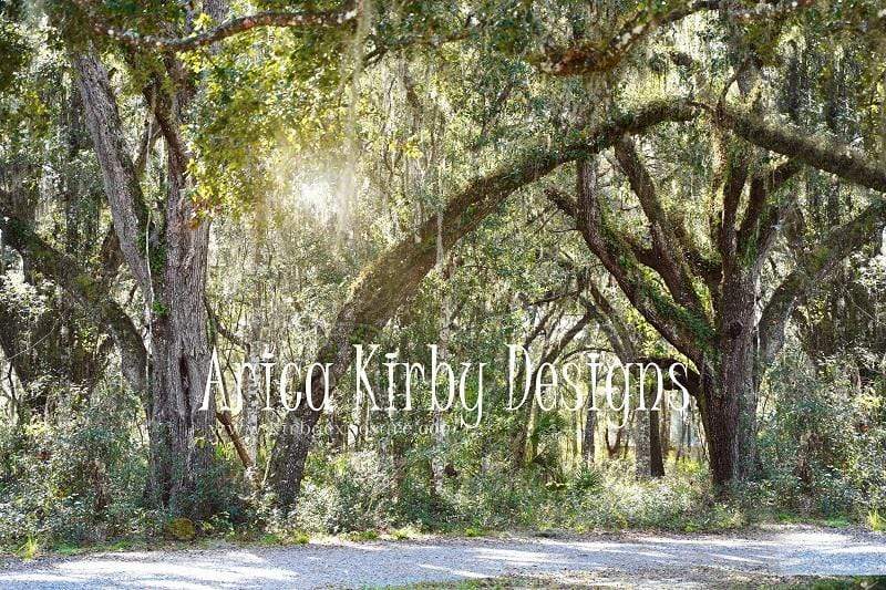 Katebackdrop£ºKate Prehistoric Forest Backdrop designed by Arica Kirby