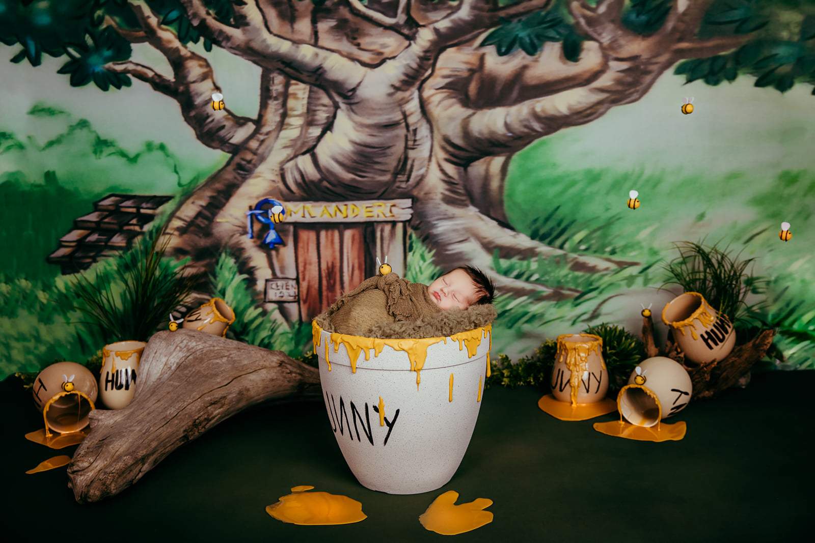 Kate Coin Cabane dans les arbres Forêt Anniversaire Toile de fond conçu par Jerry_Sina - Kate Backdrop FR