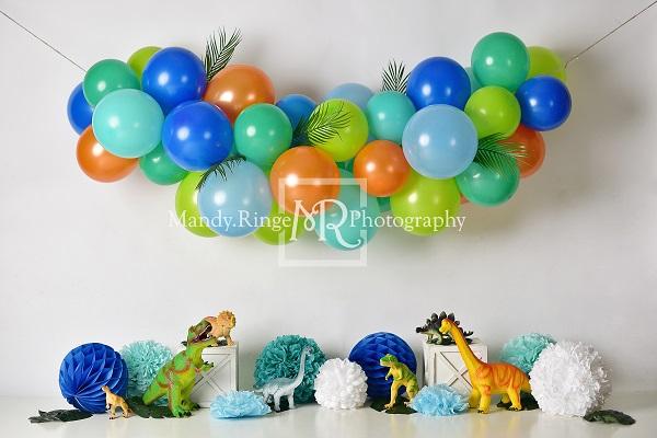 Kate Anniversaire Dinosaure Ballons Toile de fond conçue par Mandy Ringe Photographie