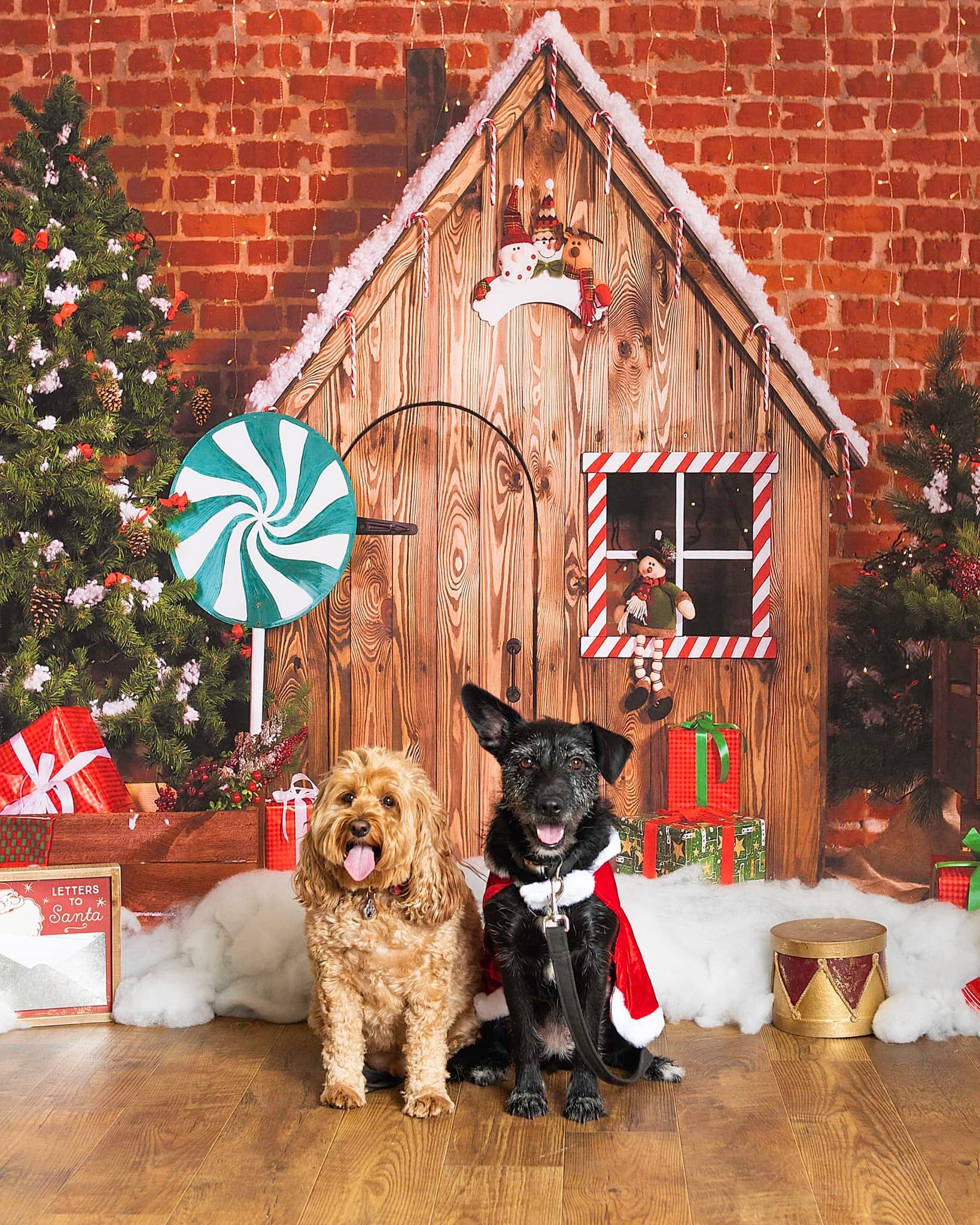 Kate Décorations Maison de pain d'épice Bois Noël pour la photographie - Kate Backdrop FR
