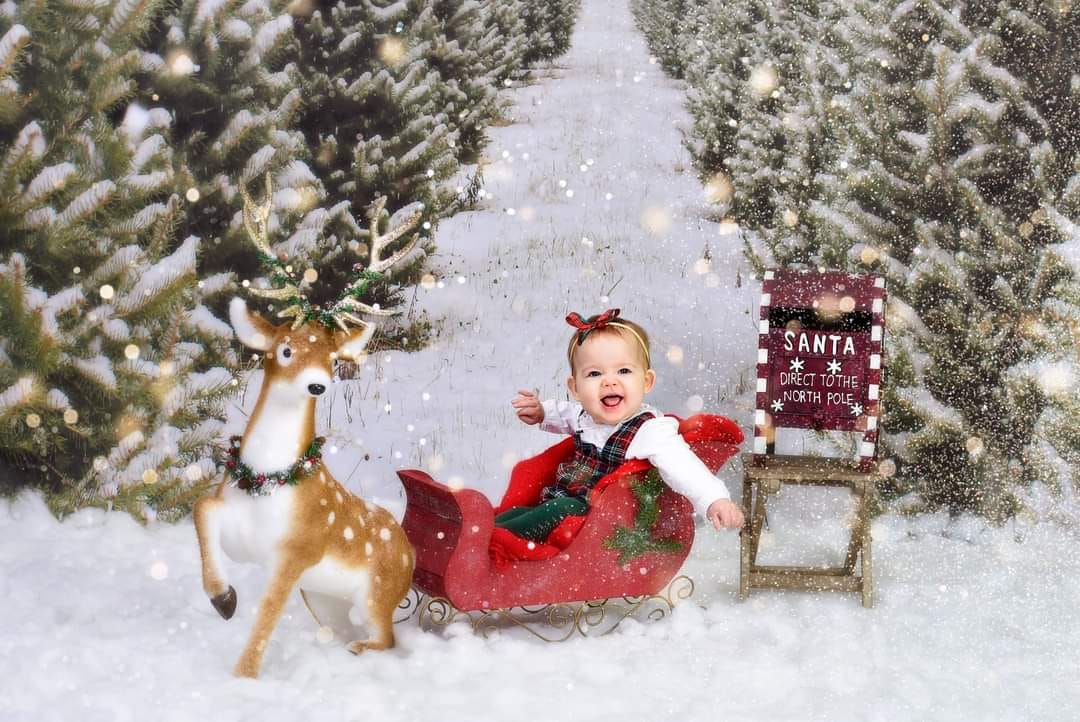 Kate Chemin Ferme Sapin de Noël Neige Toile de fond pour la photographie - Kate Backdrop FR