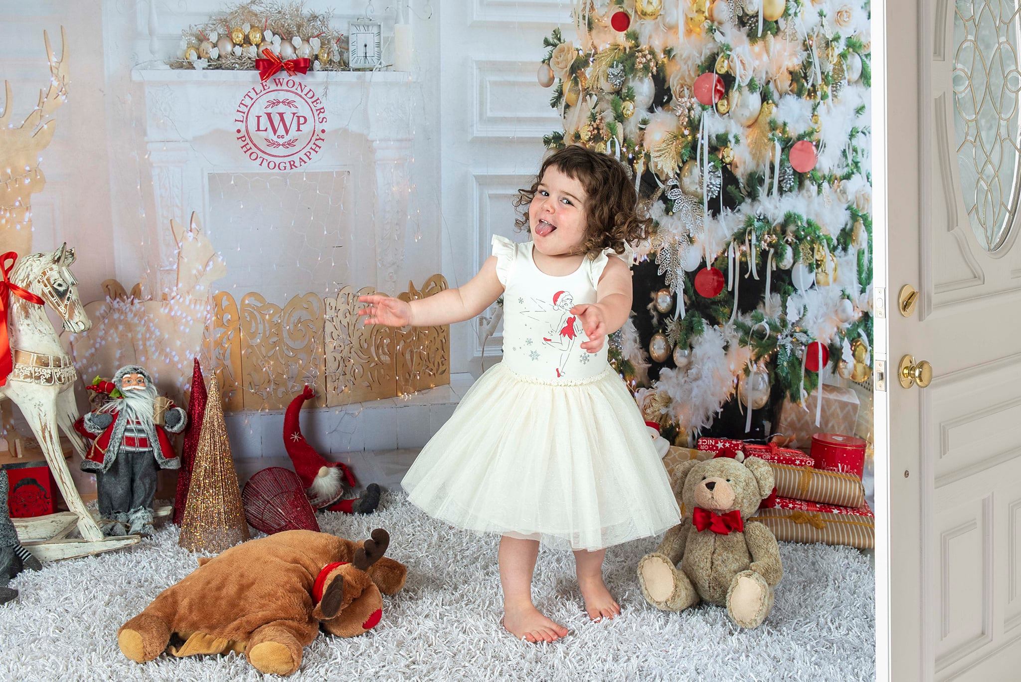 Kate Décorations Renne Chambre Sapin de Noël Toile de fond pour la photographie