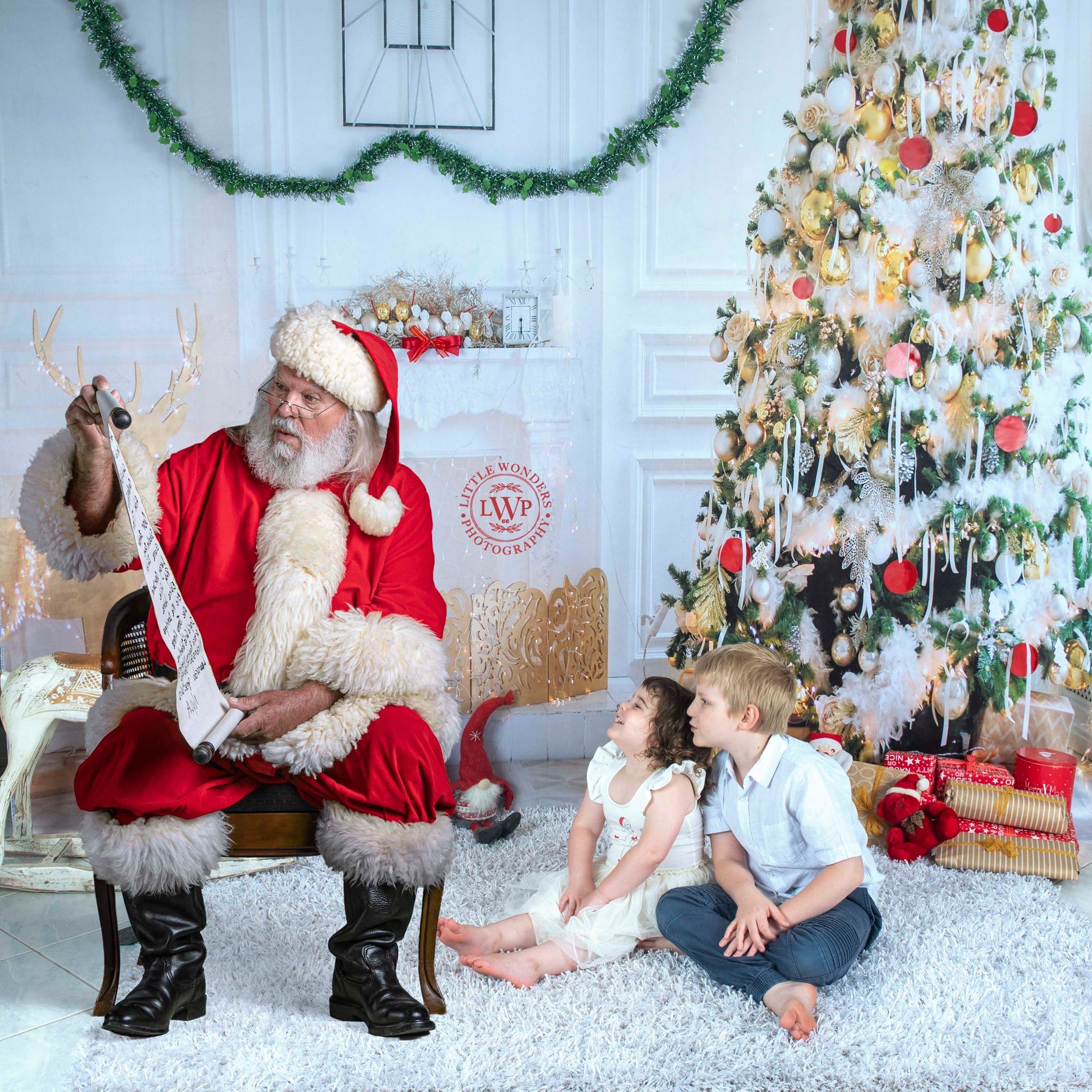 Kate Décorations Renne Chambre Sapin de Noël Toile de fond pour la photographie