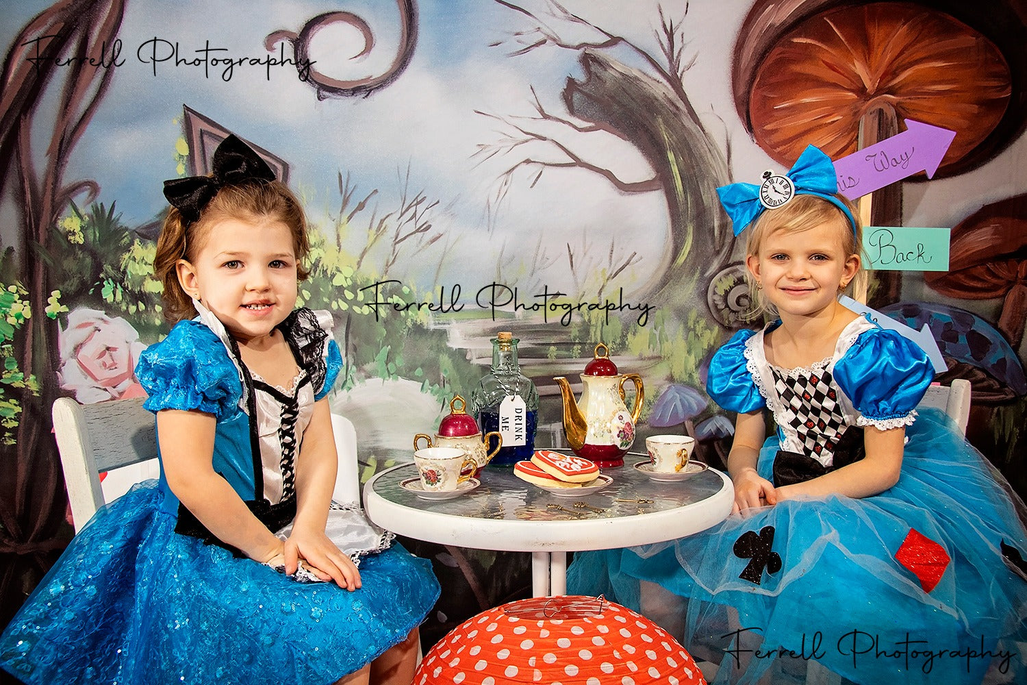 Kate Pays des merveilles Château Champignon Enfant Toile de fond conçue par JFCC - Kate Backdrop FR