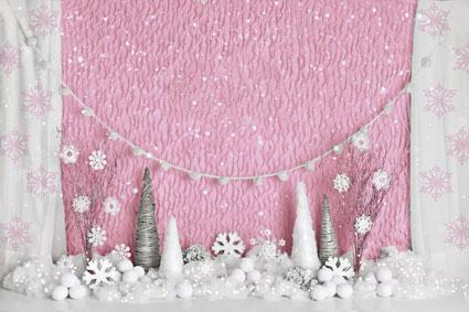 Kate Anniversaire Rose Hiver Onederland Enfant Toile de fond conçue par Mandy Ringe - Kate Backdrop FR
