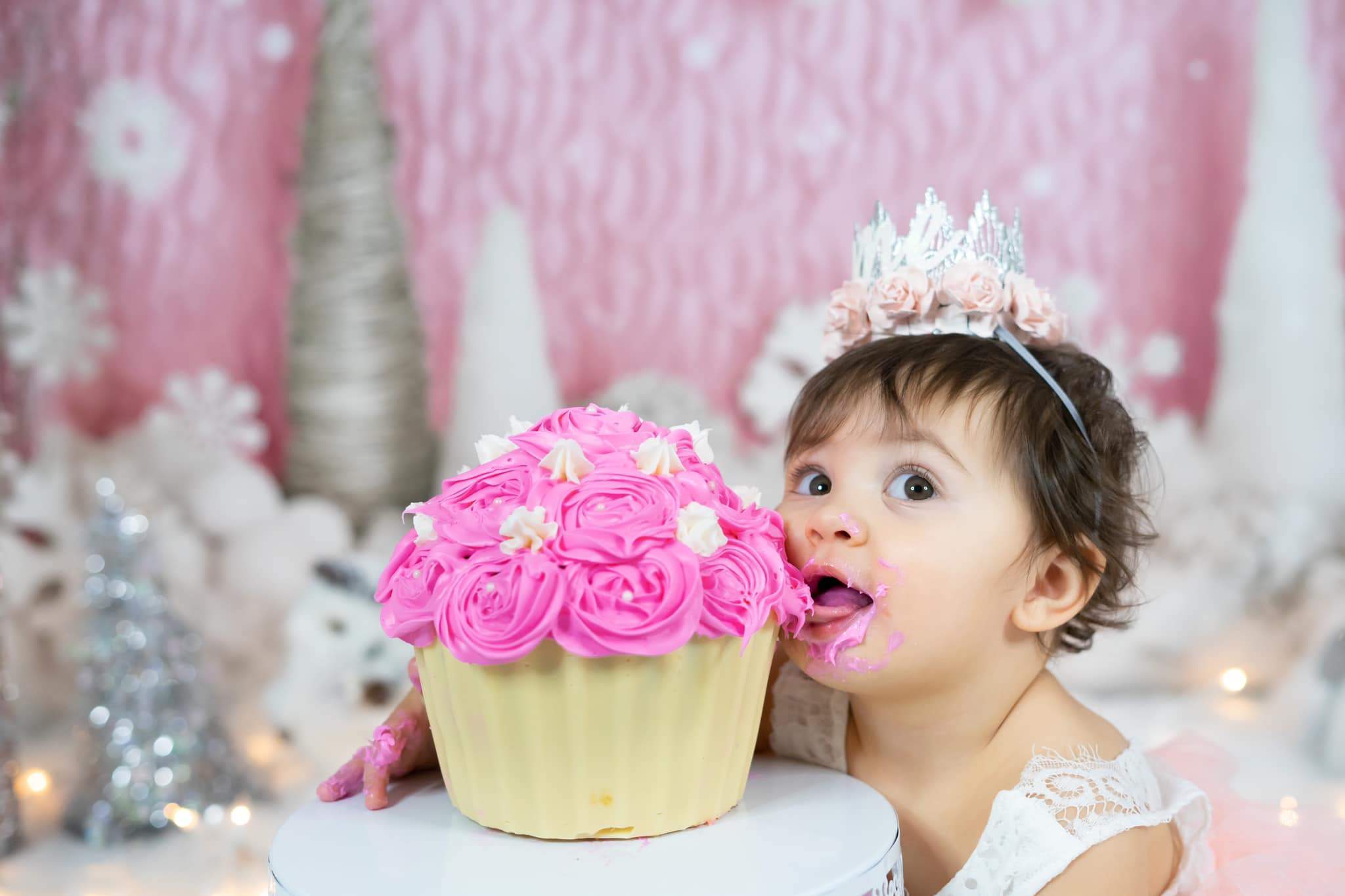 Kate Anniversaire Rose Hiver Onederland Enfant Toile de fond conçue par Mandy Ringe - Kate Backdrop FR