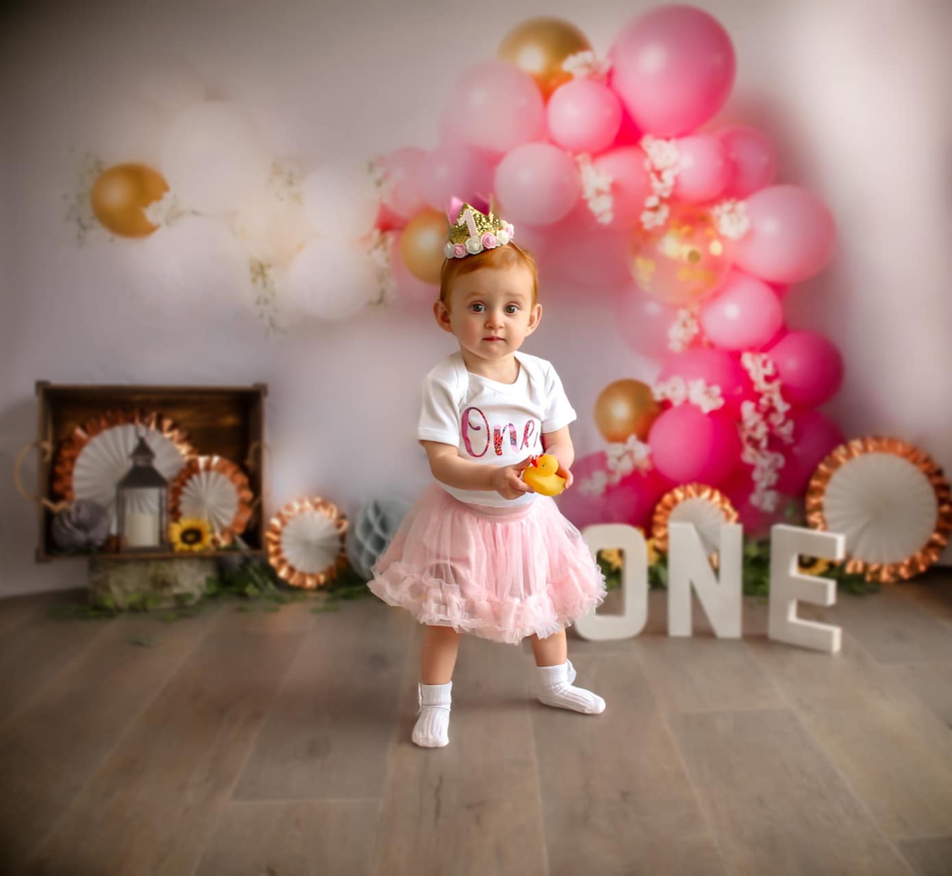 Kate Enfant Ballons Rose Anniversaire Toile de fond conçue par Megan Leigh - Kate Backdrop FR