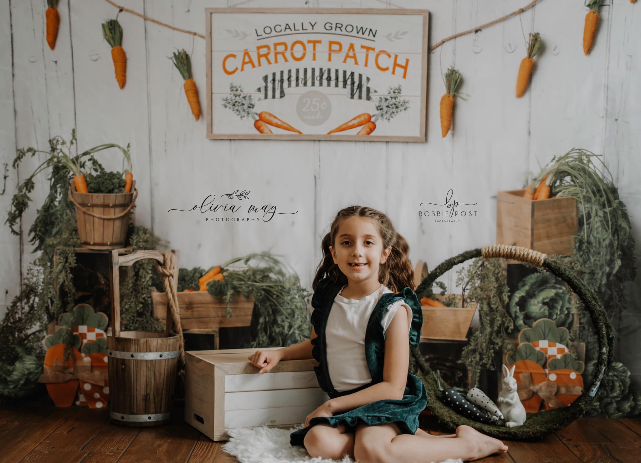 Kate Pâques Tranches de Carottes Toile de fond conçu par Megan Leigh - Kate Backdrop FR