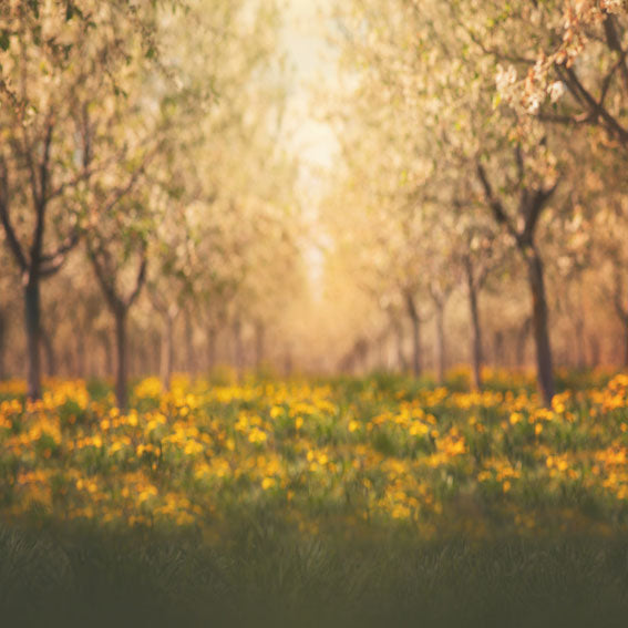 Kate Verger Printemps Arbres Fleurs Jaune Toile de fond conçue par Lisa Granden - Kate Backdrop FR