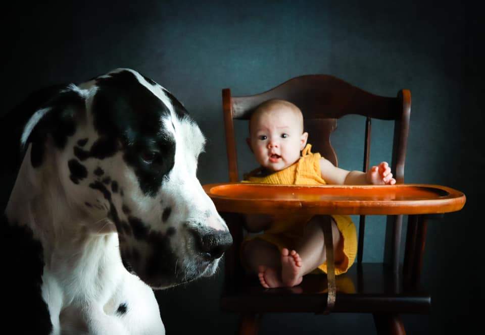 Kate Texture Couleur acier Crépuscule Abstrait Toile de fond conçue par Pine Park Collection - Kate Backdrop FR