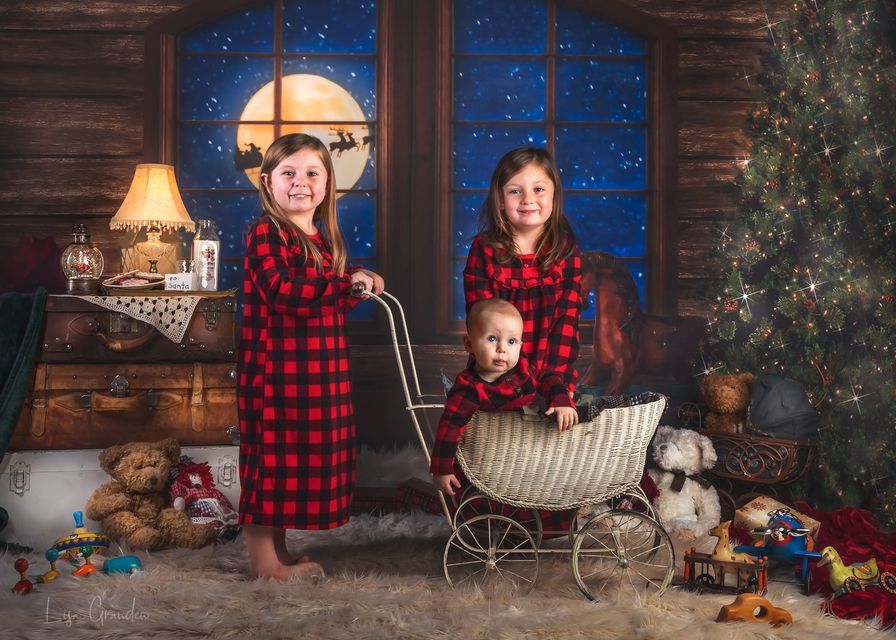 Kate Arbre de Noël Santa toile de fond pour la photographie conçu par Lisa Granden - Kate Backdrop FR