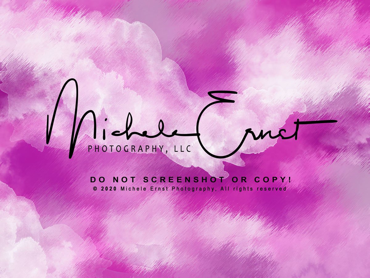 Kate Abstrait Rose Nuages Portrait Toile de fond conçue par Michele Ernst Photographie - Kate Backdrop FR