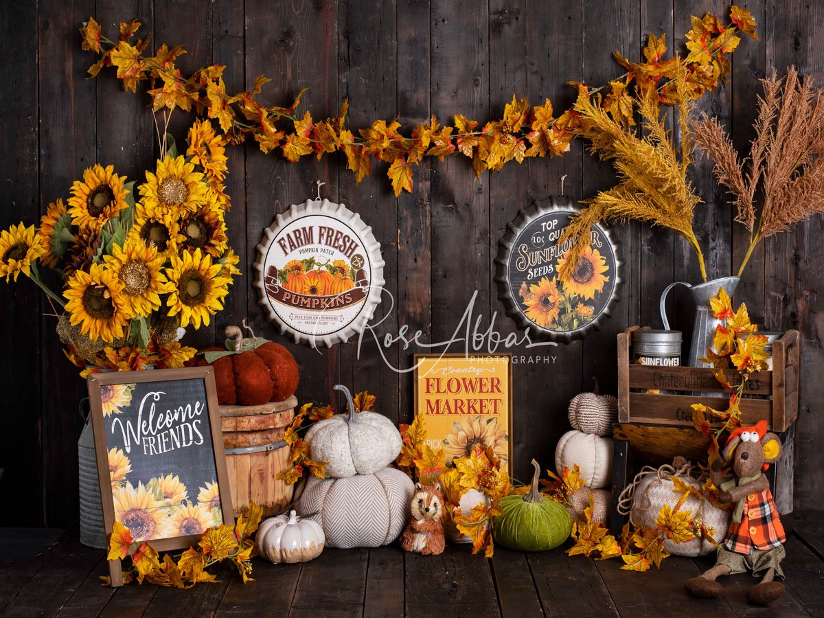 Kate Citrouille Tournesol Automne Toile de fond conçue par Rose Abbas