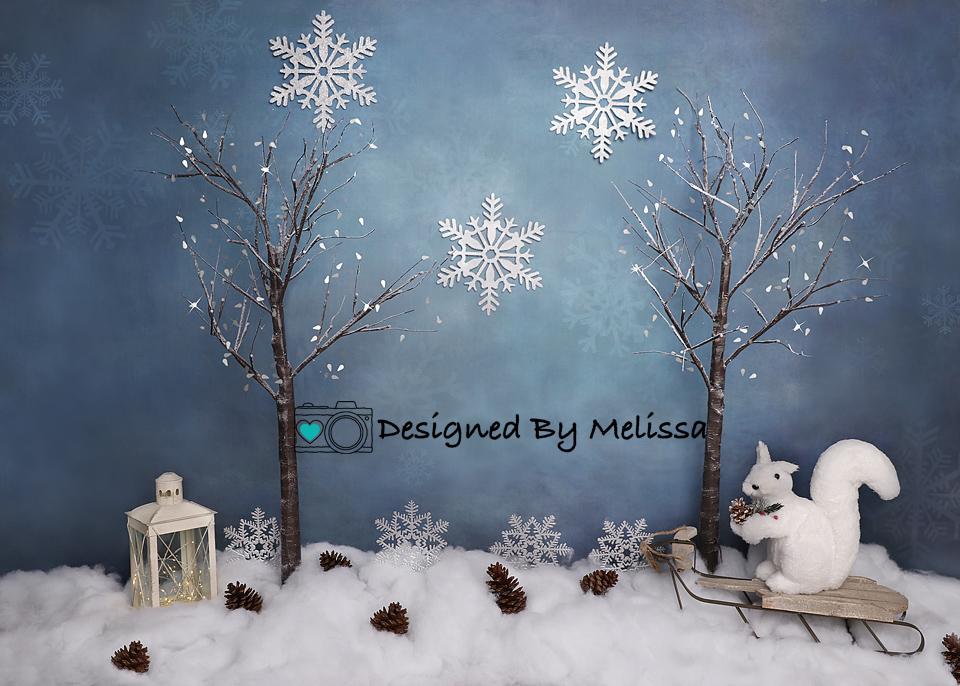 Kate Décor de Noël Hiver Bleu Neige Toile de fond conçu par Melissa King - Kate Backdrop FR