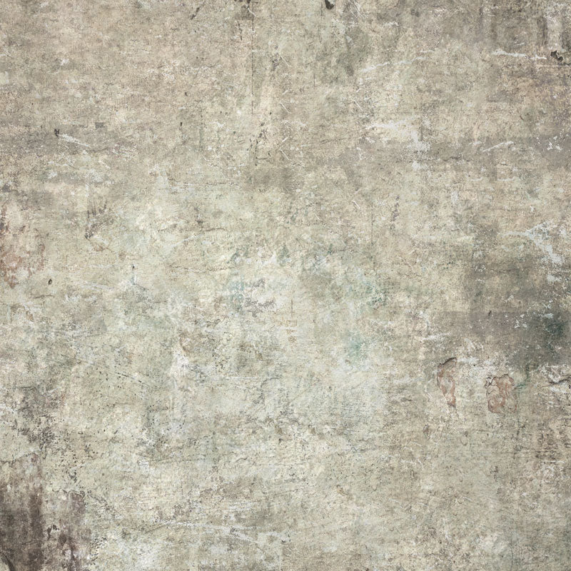 Kate gris clair do vieux mur de toile de fond pour la photographie - Kate Backdrop FR