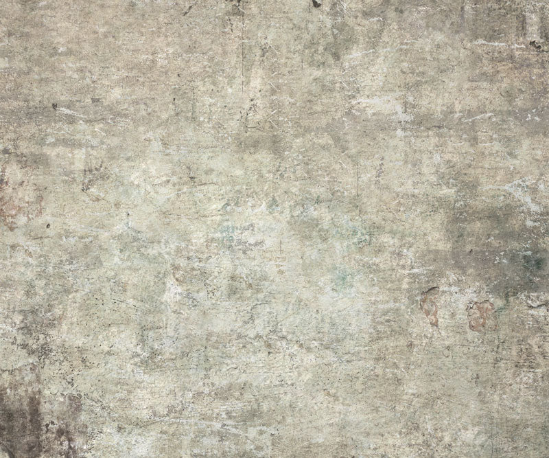 Kate gris clair do vieux mur de toile de fond pour la photographie - Kate Backdrop FR
