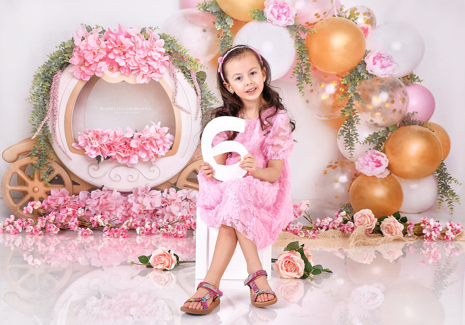 Kate Cake smash Fleurs Ballon Enfant Toile de fond conçue par Lisa B - Kate Backdrop FR