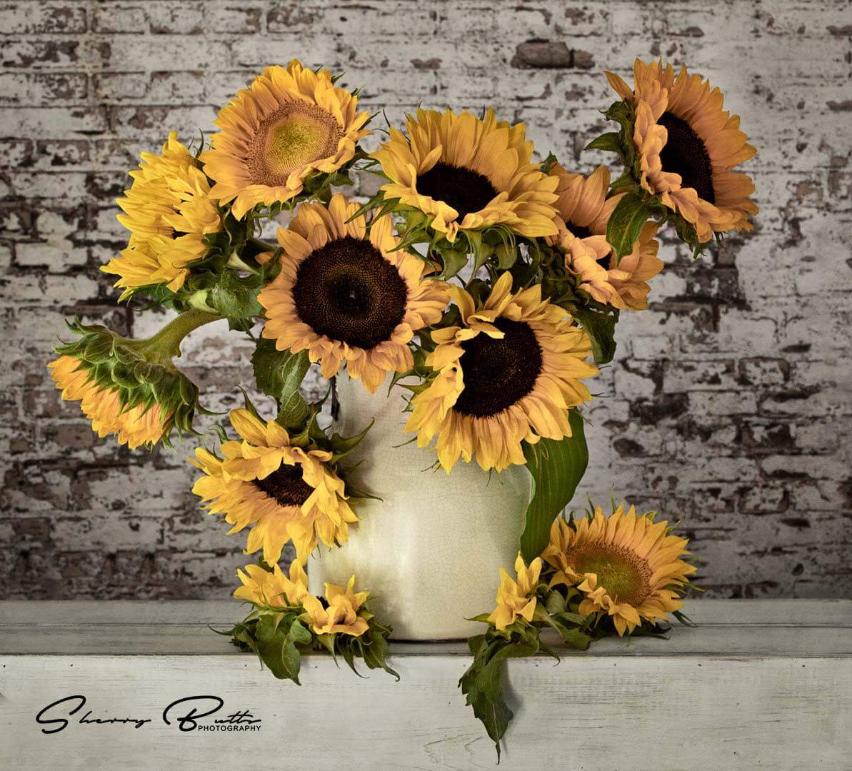 Kate toile de fond de mur de briques rétro pour la photographie - Kate Backdrop FR