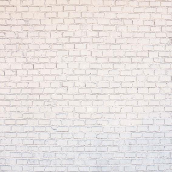 Kate toile de fond de mur blanc rétro en brique ancienne pour photographie - Kate Backdrop FR