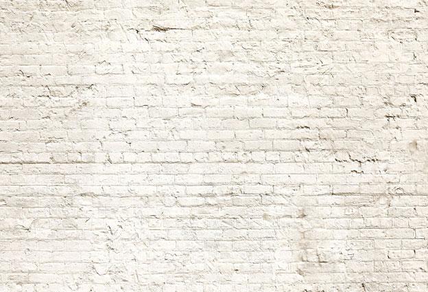 Kate toile de fond de mur rétro en brique pour photographie - Kate Backdrop FR