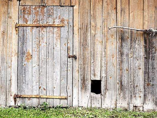 Katebackdrop:Kate Spring/Easter Wooden Door Background Retro Photo Outside