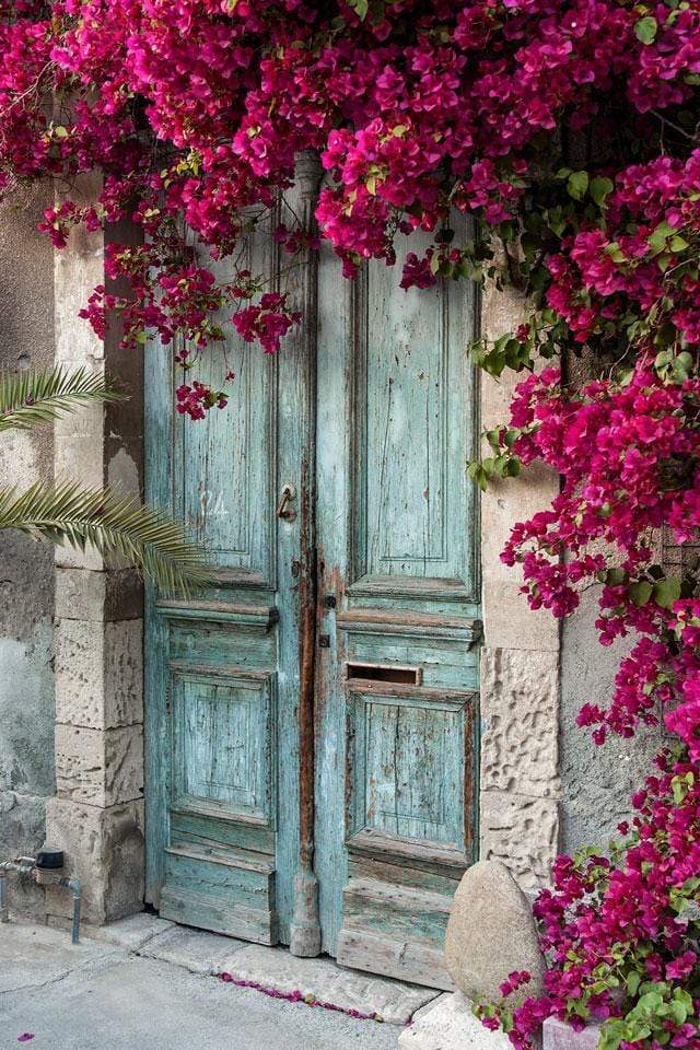 Kate Blue Door Red Florals Scenery Concrete Backdrops - Katebackdrop