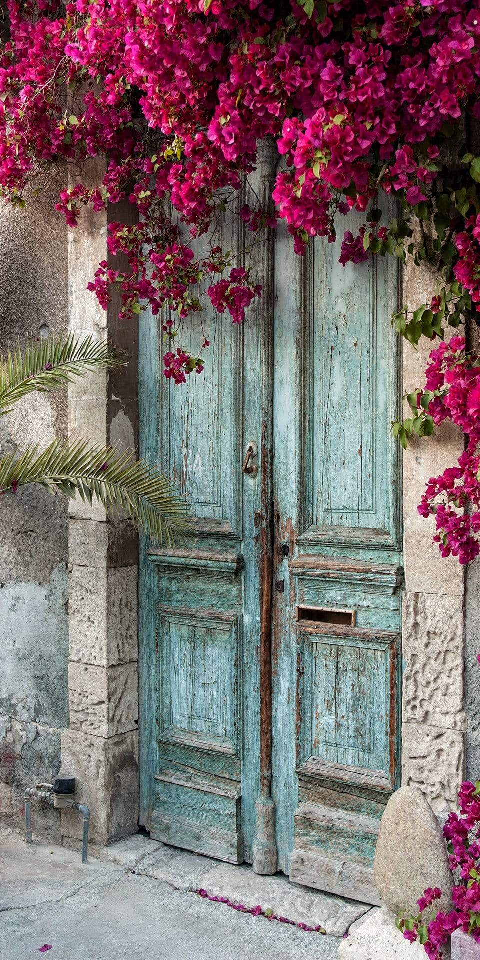 Kate Blue Door Red Florals Scenery Concrete Backdrops - Katebackdrop