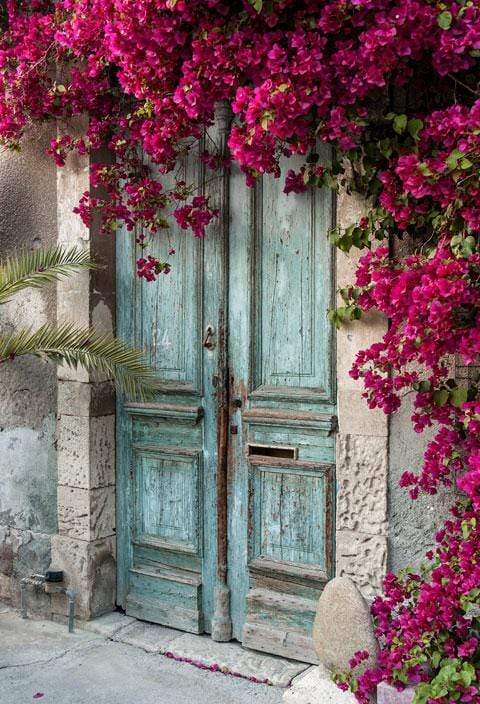 Kate Blue Door Red Florals Scenery Concrete Backdrops - Katebackdrop