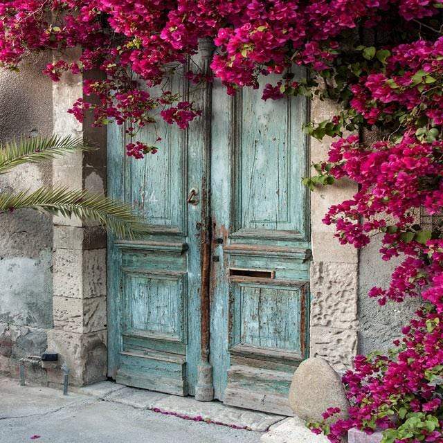 Kate Blue Door Red Florals Scenery Concrete Backdrops - Katebackdrop