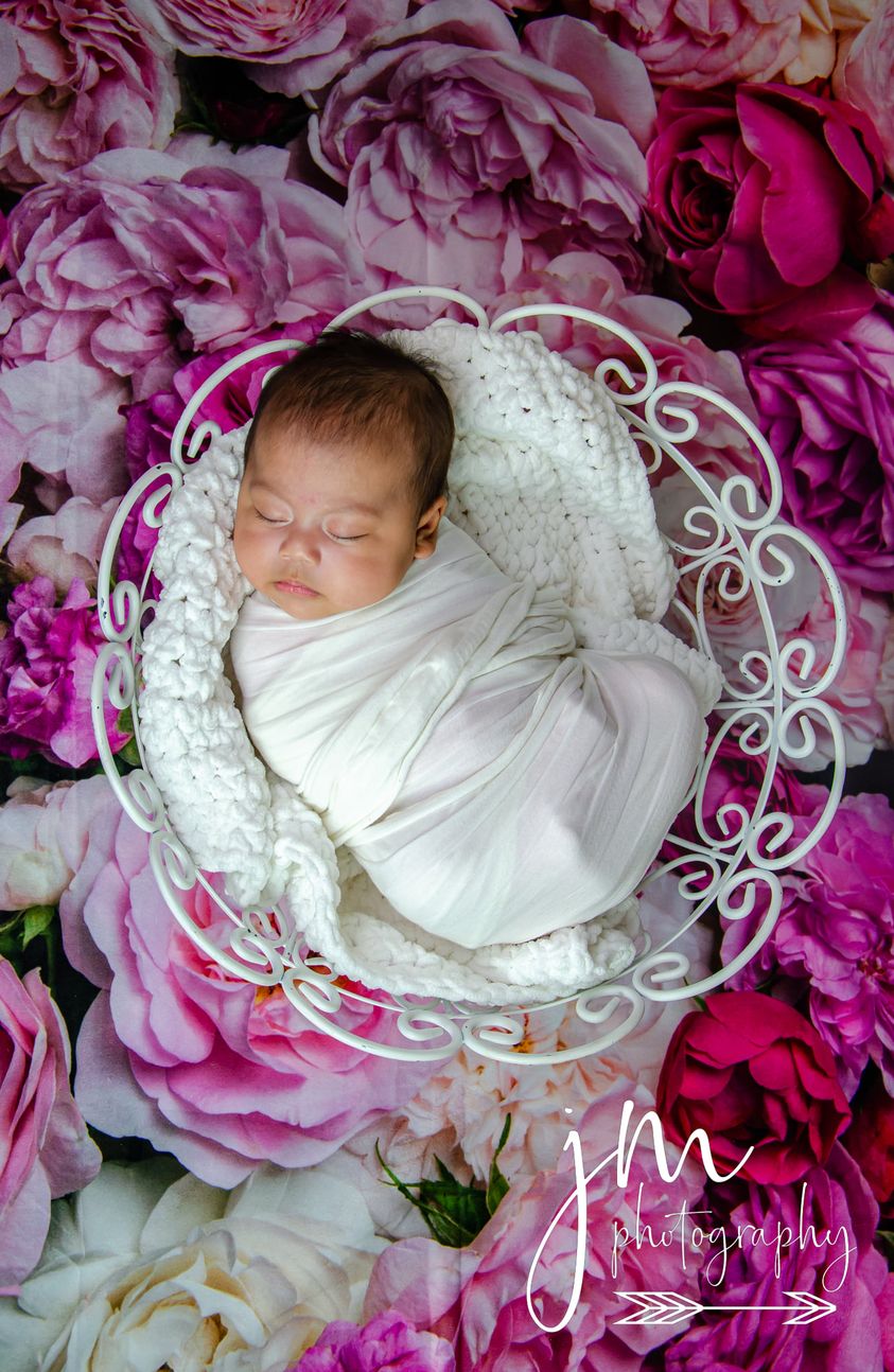 Kate Rouge Rose Fleurs Saint Valentin Fête des mères Toile de fond pour la photographie