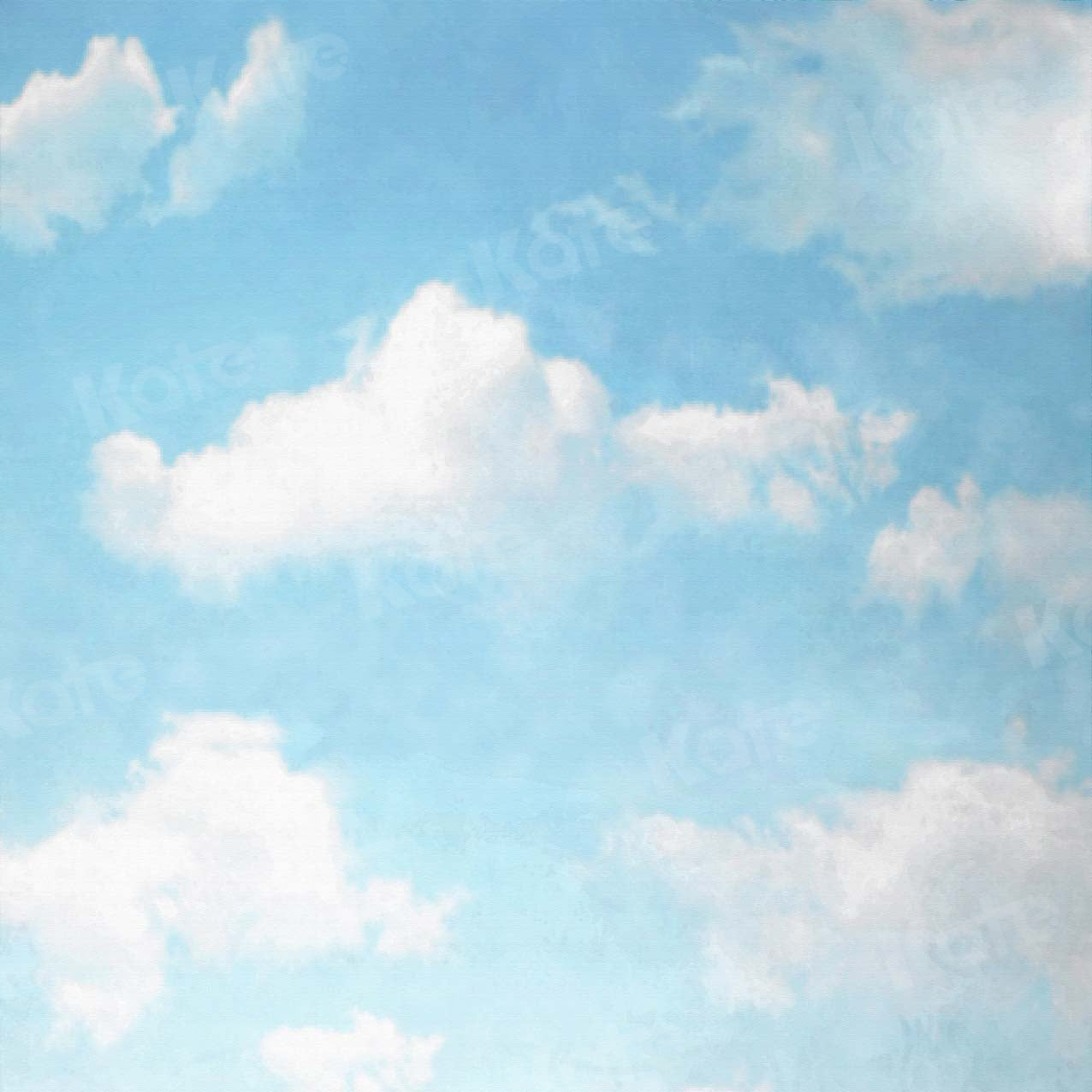 Kate Nuages Ciel Bleu Blanc Été Bébé Toile de fond pour la photographie - Kate Backdrop FR