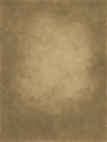 Katebackdrop:Kate Gold little brown Texture Abstract Background Photos Backdrop