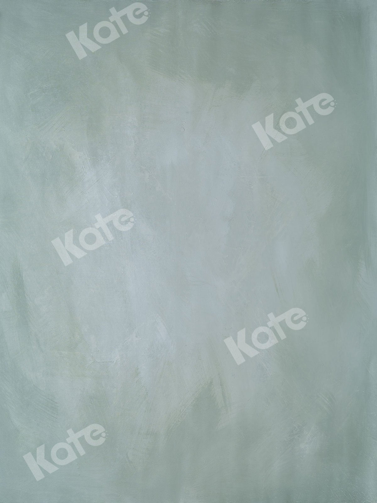 Kate Vert pâle Abstrait Portrait Toile de fond pour la photographie - Kate Backdrop FR