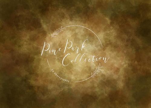 Katebackdrop£ºKate Abstract Sunrise Light Brown Color Textured Backdrop Designed By Pine Park Collection