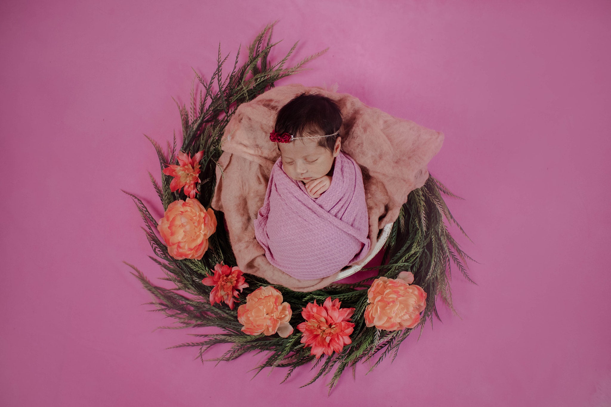 Kate Couleur unie Rose poudré Toile de fond Photographie de portrait - Kate Backdrop FR