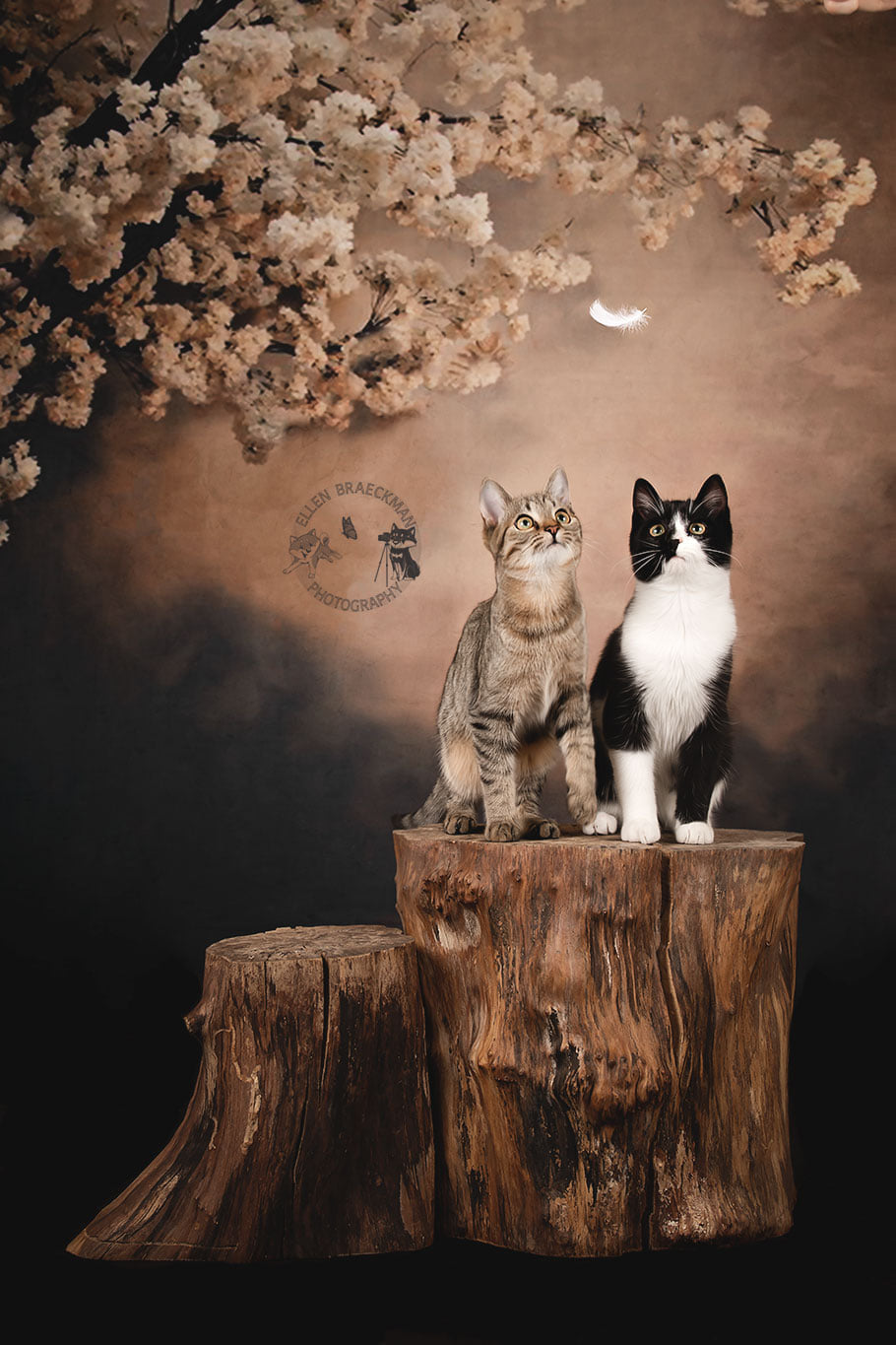 Kate Fleurs Arbre Abstrait Brun Toile de fond pour la photographie - Kate Backdrop FR