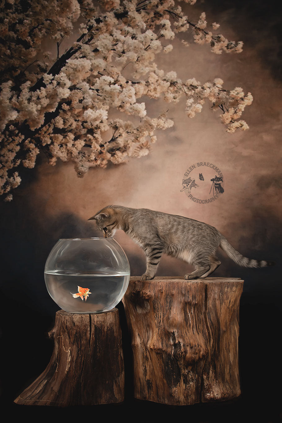 Kate Fleurs Arbre Abstrait Brun Toile de fond pour la photographie - Kate Backdrop FR