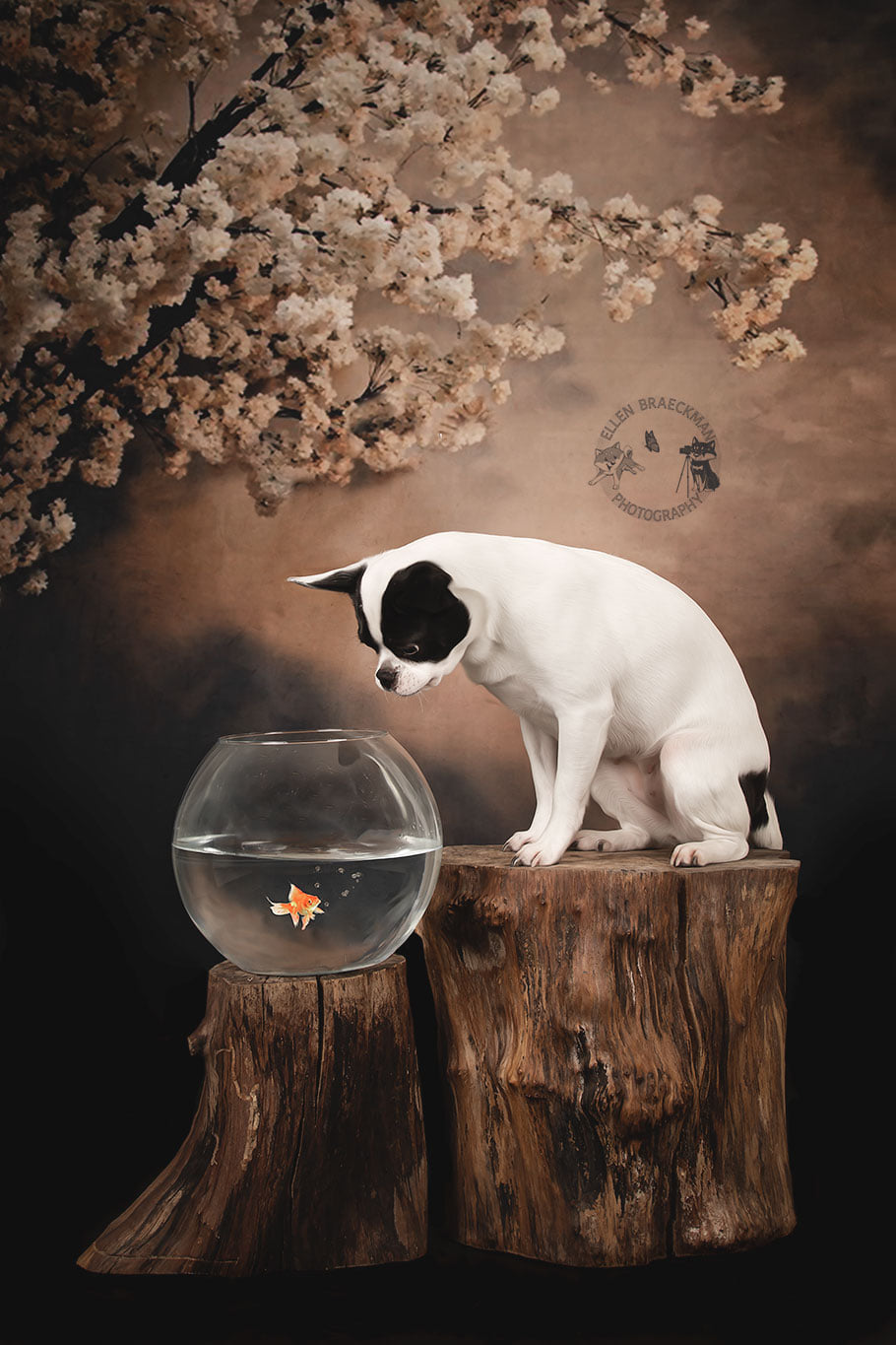 Kate Fleurs Arbre Abstrait Brun Toile de fond pour la photographie - Kate Backdrop FR