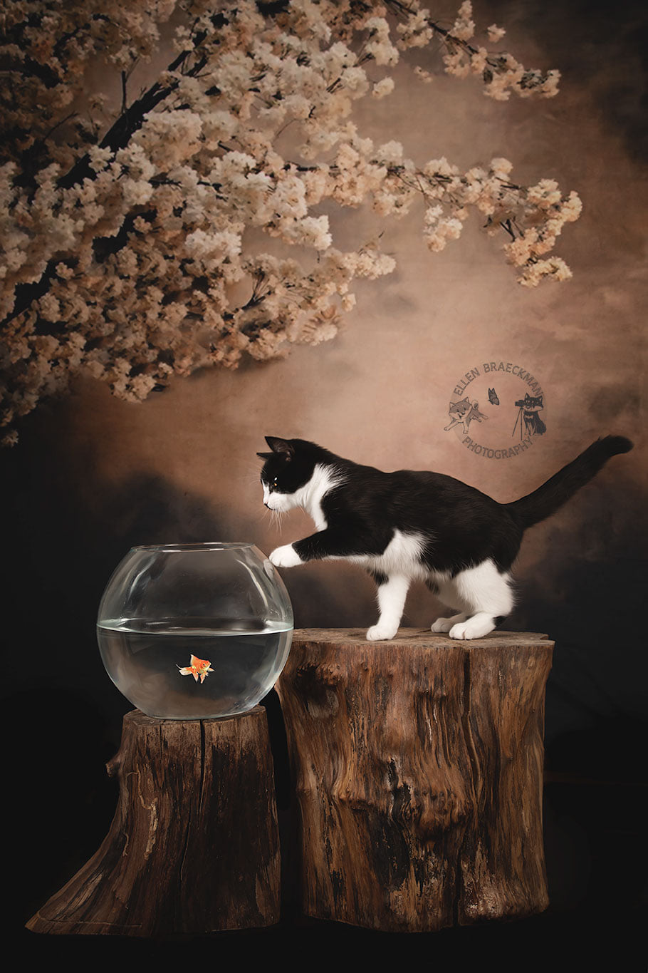 Kate Fleurs Arbre Abstrait Brun Toile de fond pour la photographie - Kate Backdrop FR