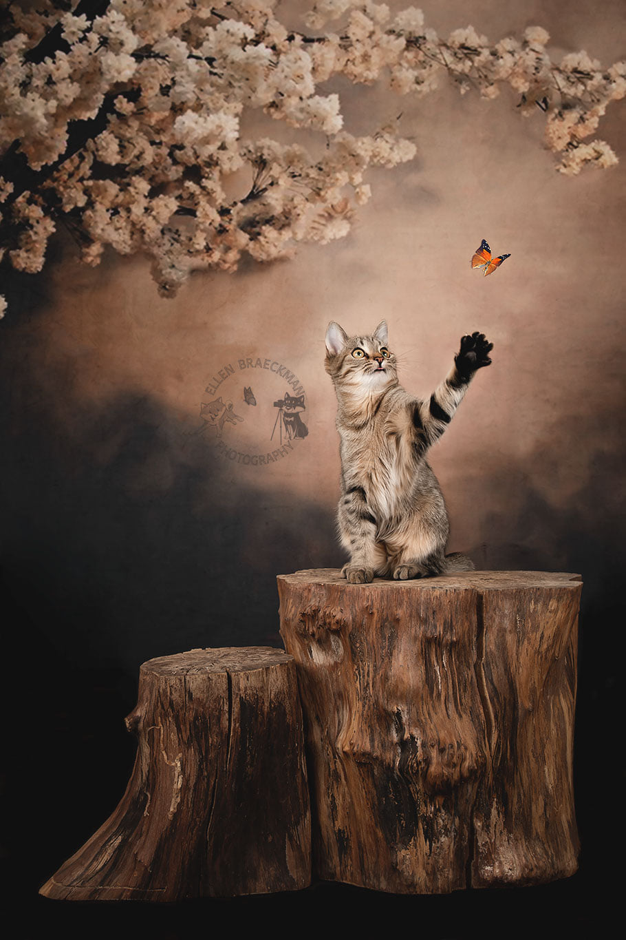 Kate Fleurs Arbre Abstrait Brun Toile de fond pour la photographie - Kate Backdrop FR