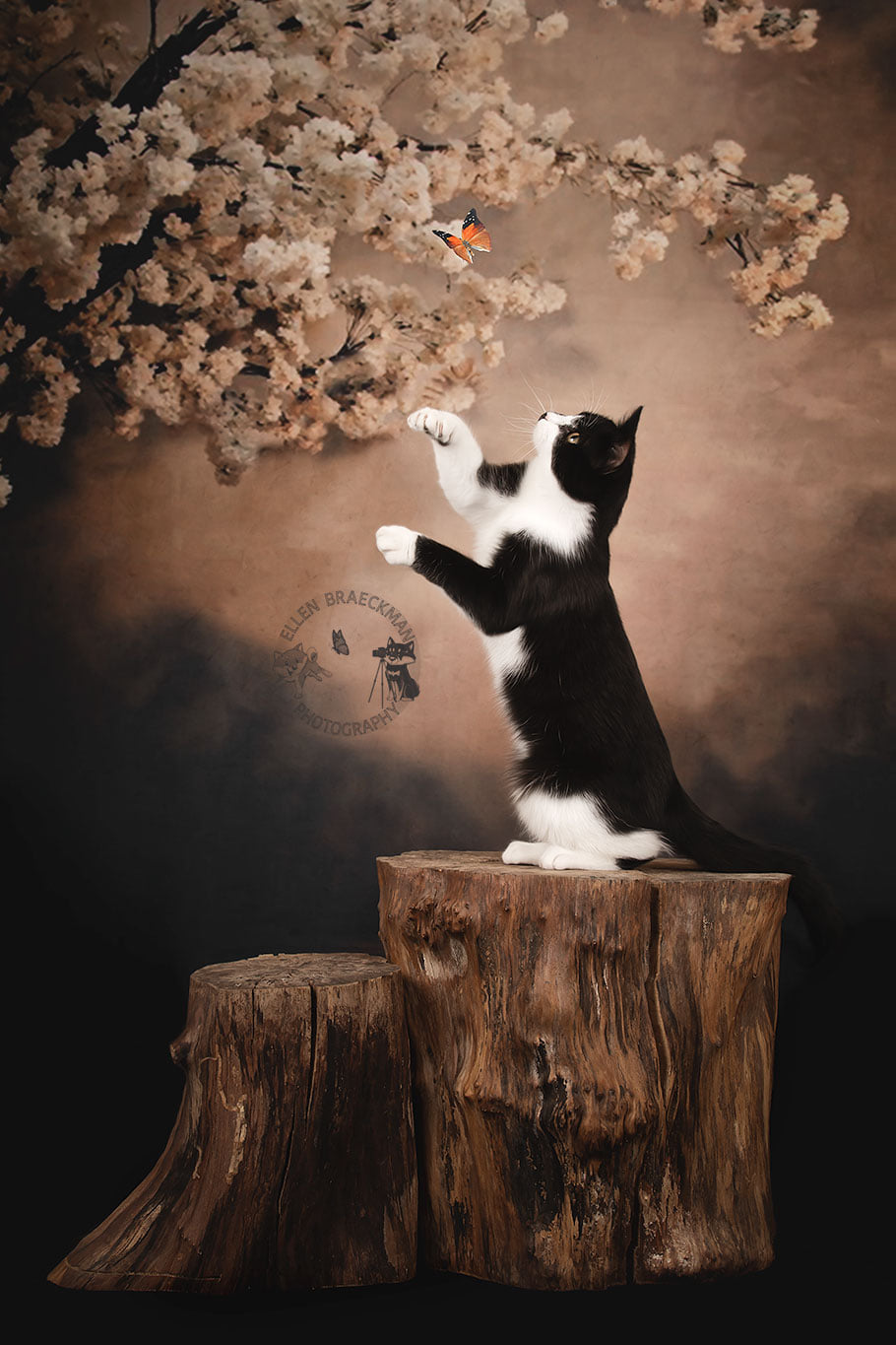 Kate Fleurs Arbre Abstrait Brun Toile de fond pour la photographie - Kate Backdrop FR