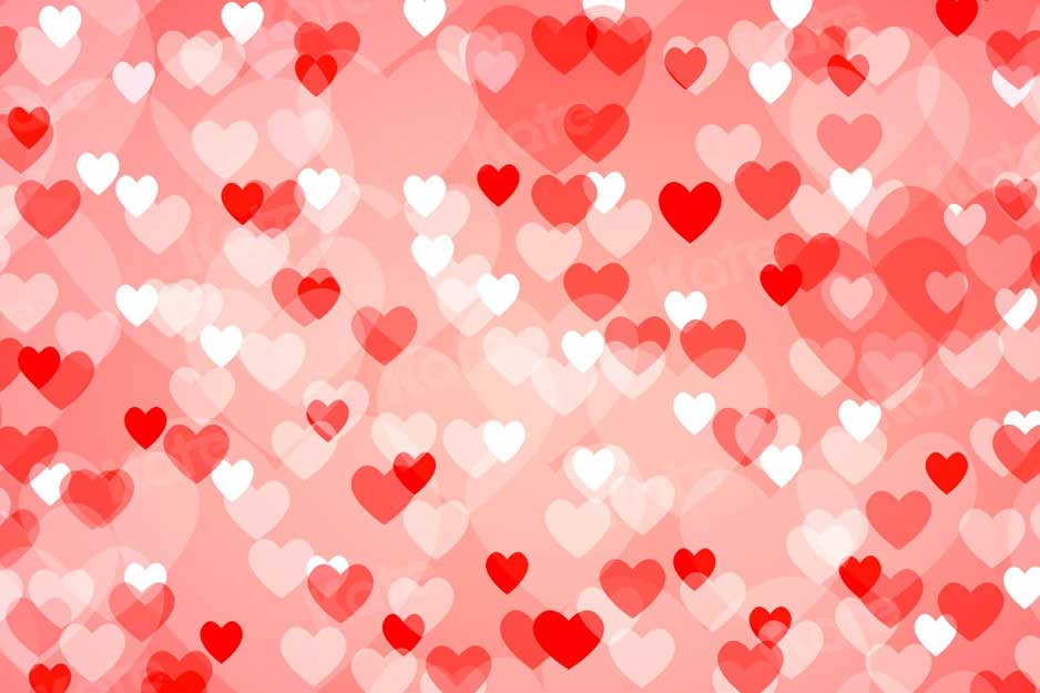 Kate Bokeh Saint-Valentin Coeur Rose Toile de fond pour la photographie - Kate Backdrop FR