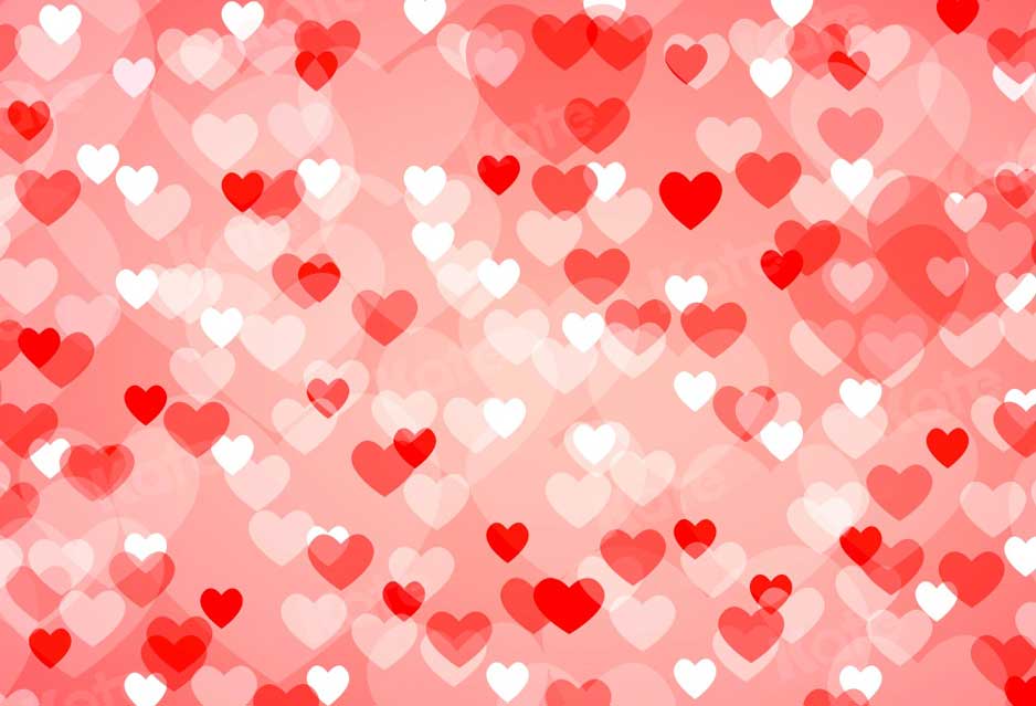 Kate Bokeh Saint-Valentin Coeur Rose Toile de fond pour la photographie - Kate Backdrop FR
