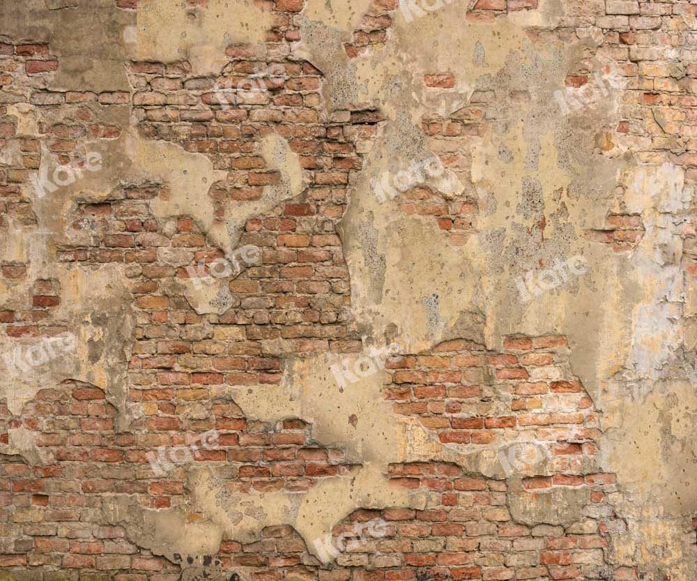 Kate Mur de briques Toile de fond vintage Texture minable Conçu par Chain Photographie - Kate Backdrop FR