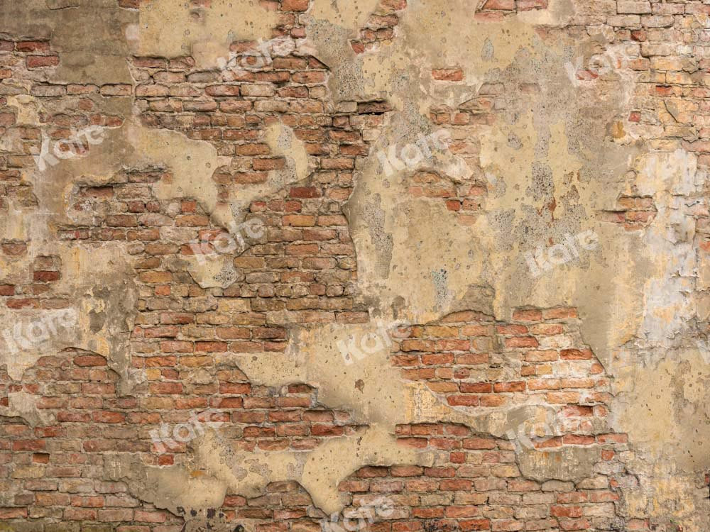 Kate Mur de briques Toile de fond vintage Texture minable Conçu par Chain Photographie - Kate Backdrop FR