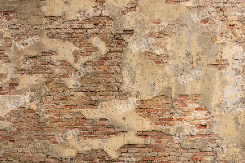 Kate Mur de briques Toile de fond vintage Texture minable Conçu par Chain Photographie - Kate Backdrop FR