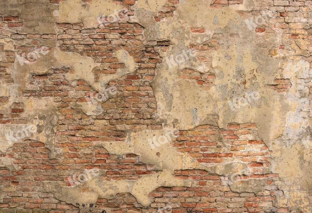 Kate Mur de briques Toile de fond vintage Texture minable Conçu par Chain Photographie - Kate Backdrop FR