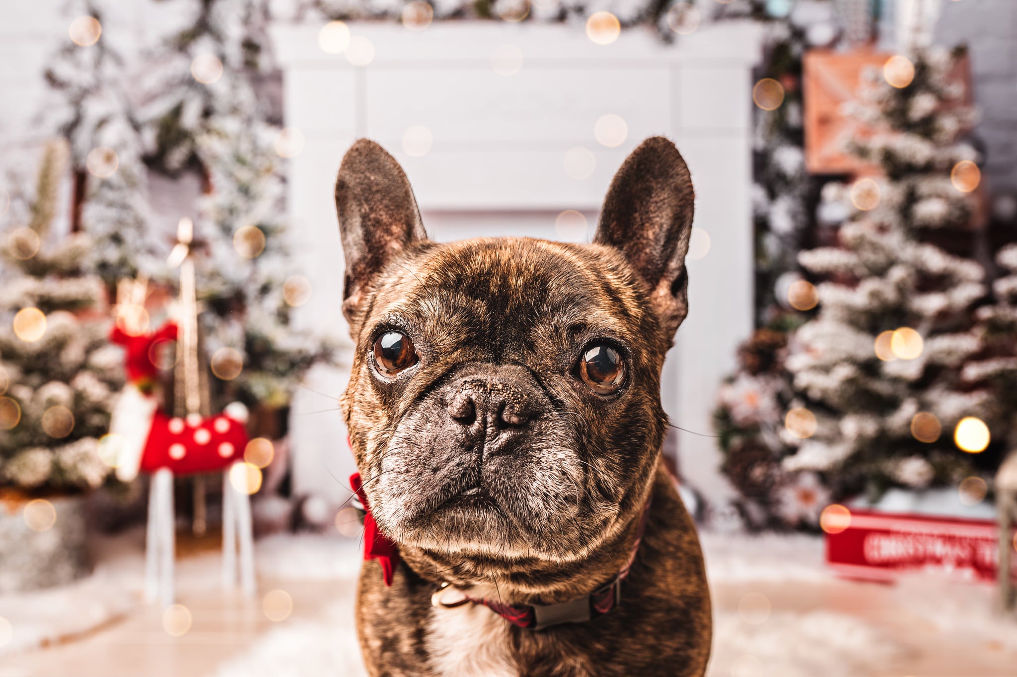 Kate Cheminée Mur de briques Noël Blanc Toile de fond conçue par Emetselch - Kate Backdrop FR