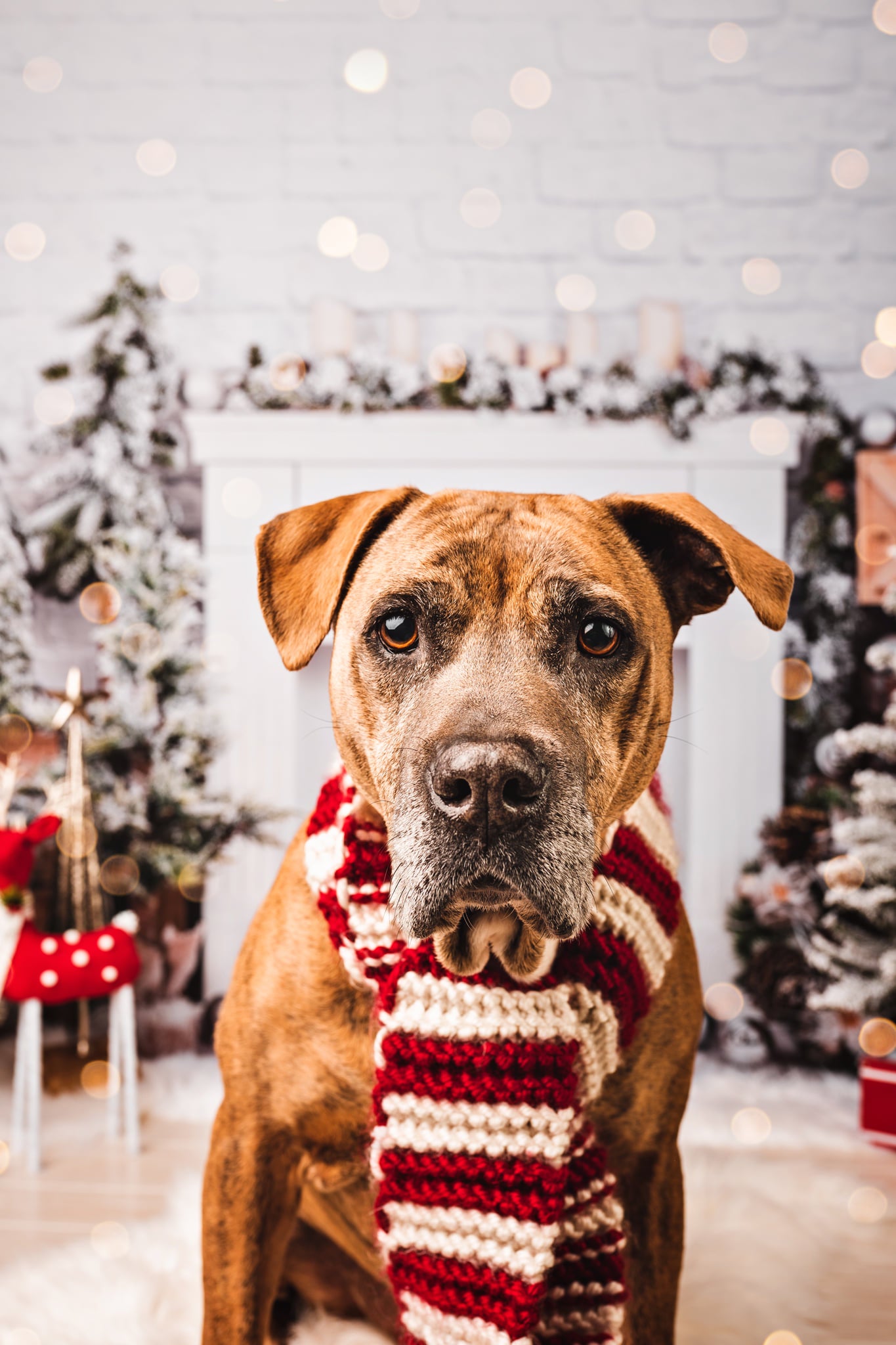 Kate Cheminée Mur de briques Noël Blanc Toile de fond conçue par Emetselch - Kate Backdrop FR